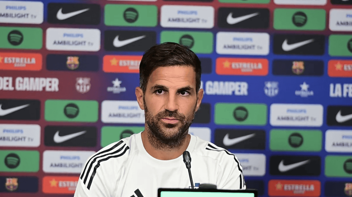 img, 也不该感到 img, 也不该感到