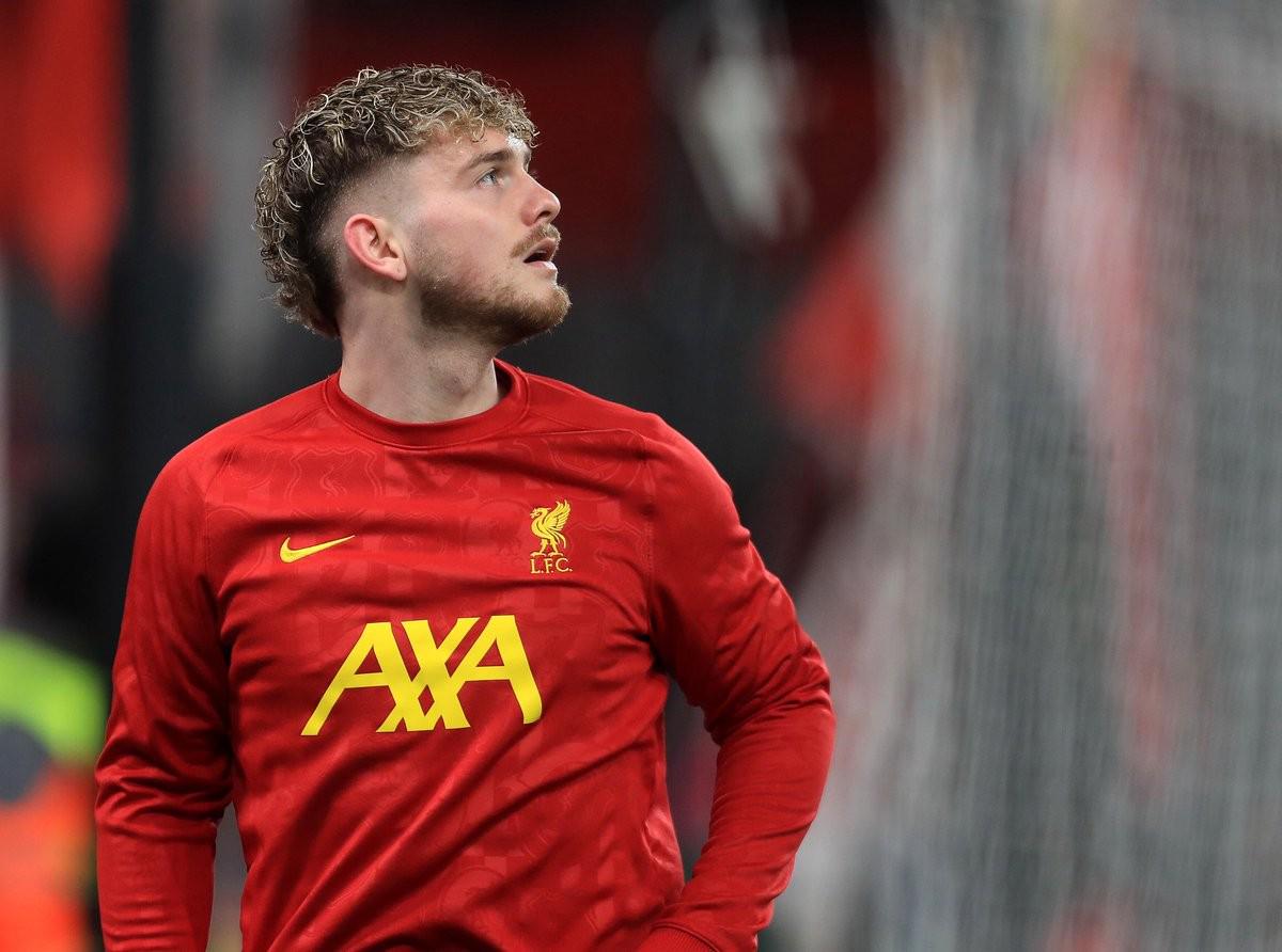 轻的苏格兰 轻的苏格兰