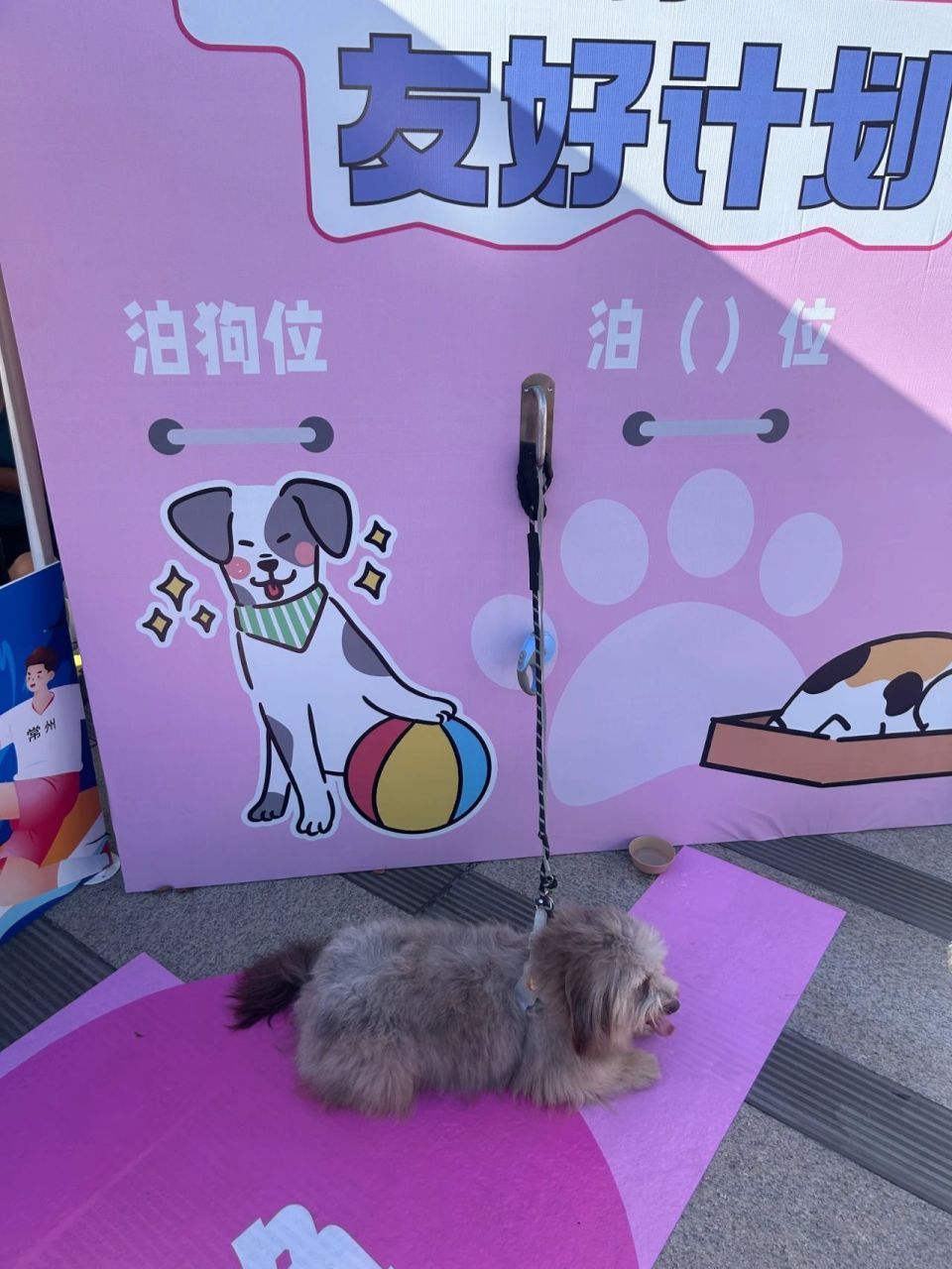 data, https, 比赛还没开