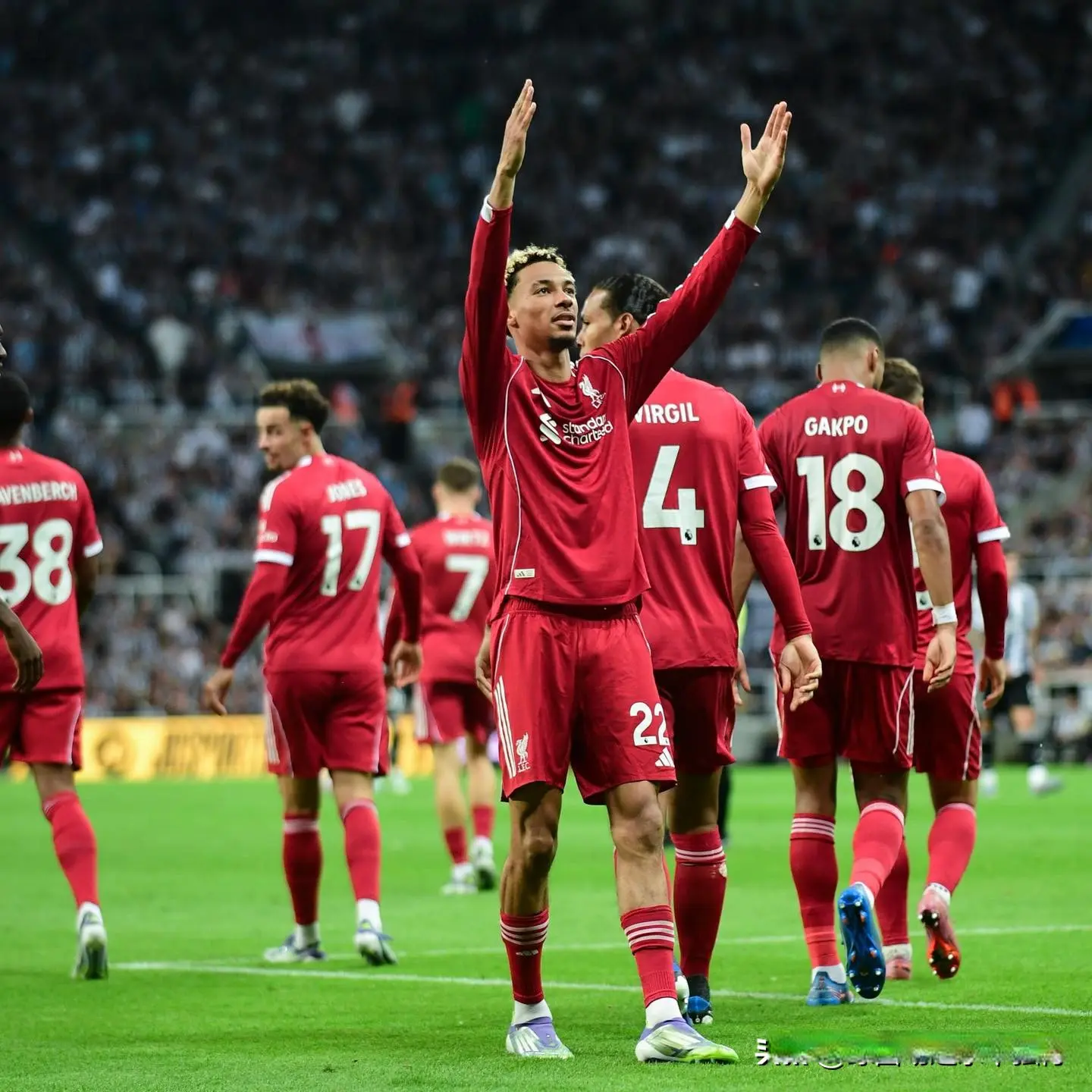 msn, 连胜, 一场主场