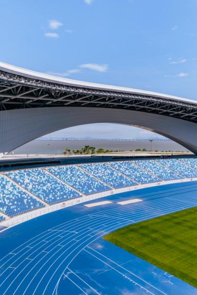 https, 受瞩目的新, 阿姨在这里